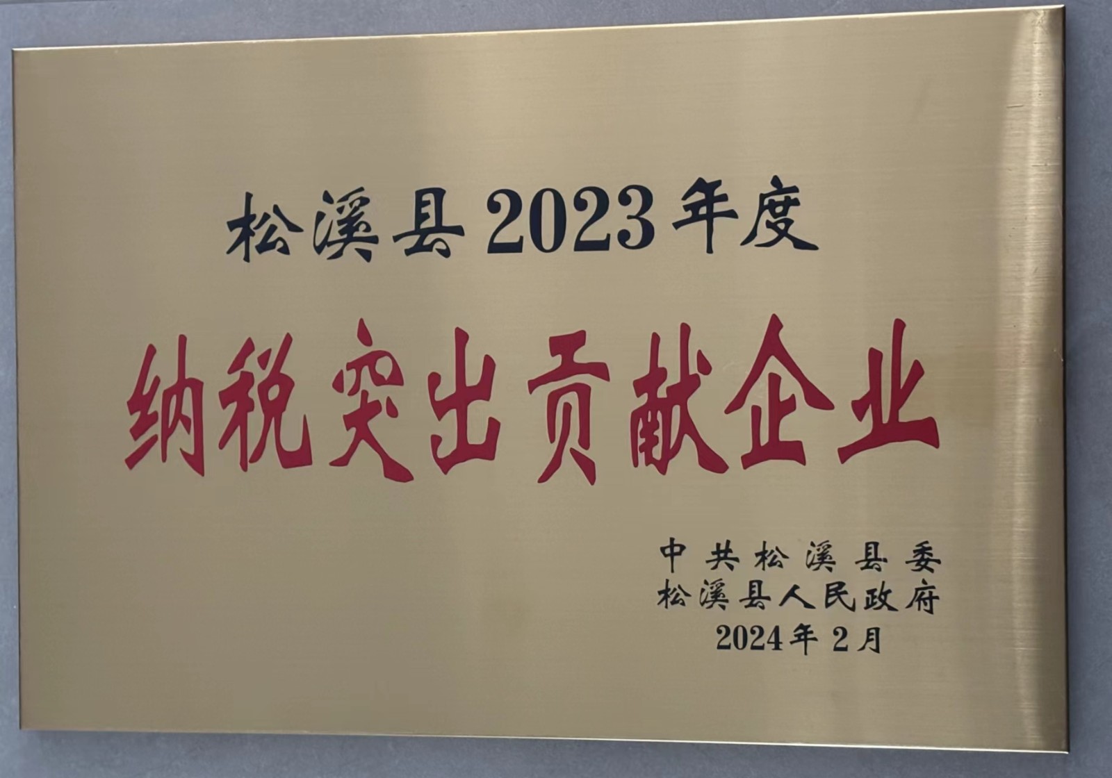 喜報(bào)！易順建工集團(tuán)榮獲“松溪縣2023年度納稅突出貢獻(xiàn)企業(yè)”稱號(hào)