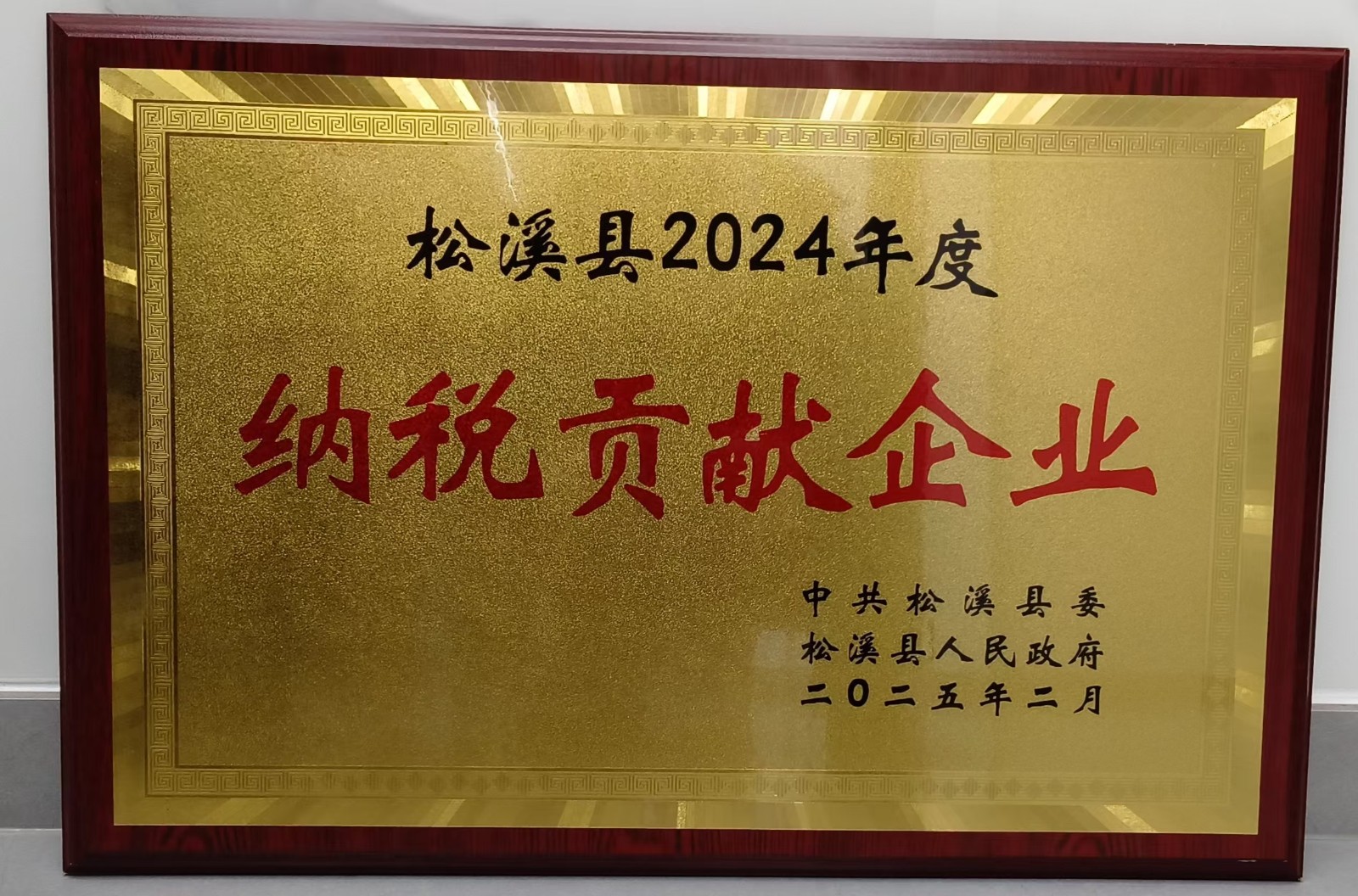 喜報！易順建工集團榮獲“松溪縣2024年度納稅貢獻企業(yè)”稱號